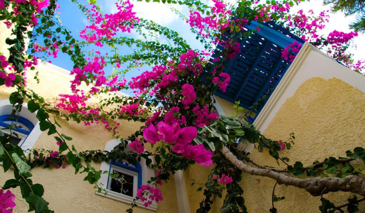 Hotel Zeus Kamari  Luaran gambar